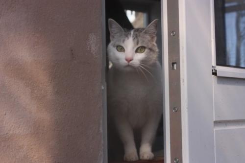 phoca thumb l img 3350